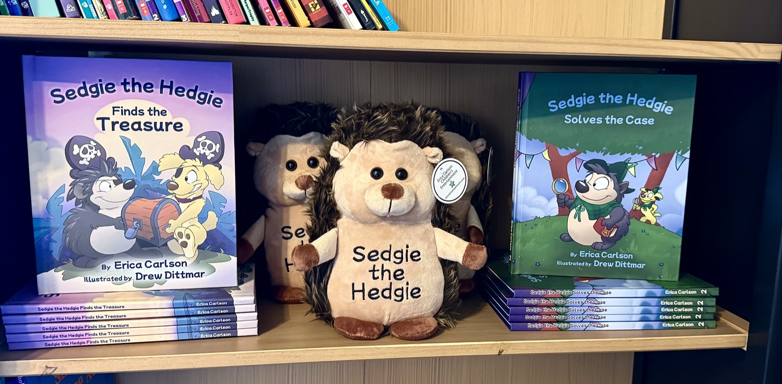 Dragonfly Bookshop — browsing the shelves