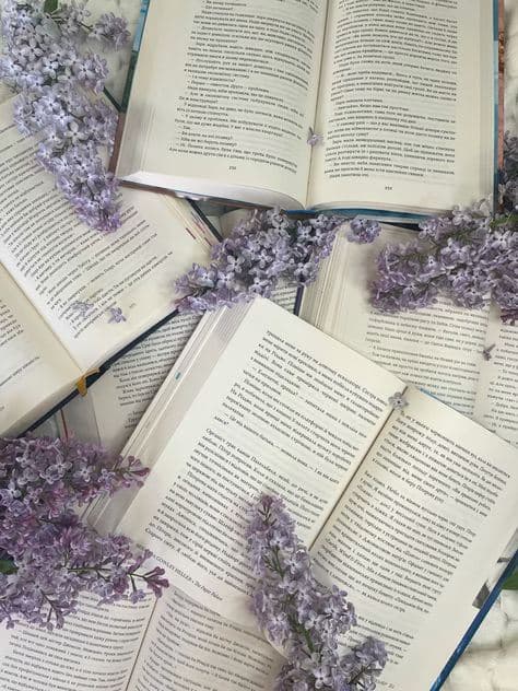 Dragonfly Bookshop — shelves and community space