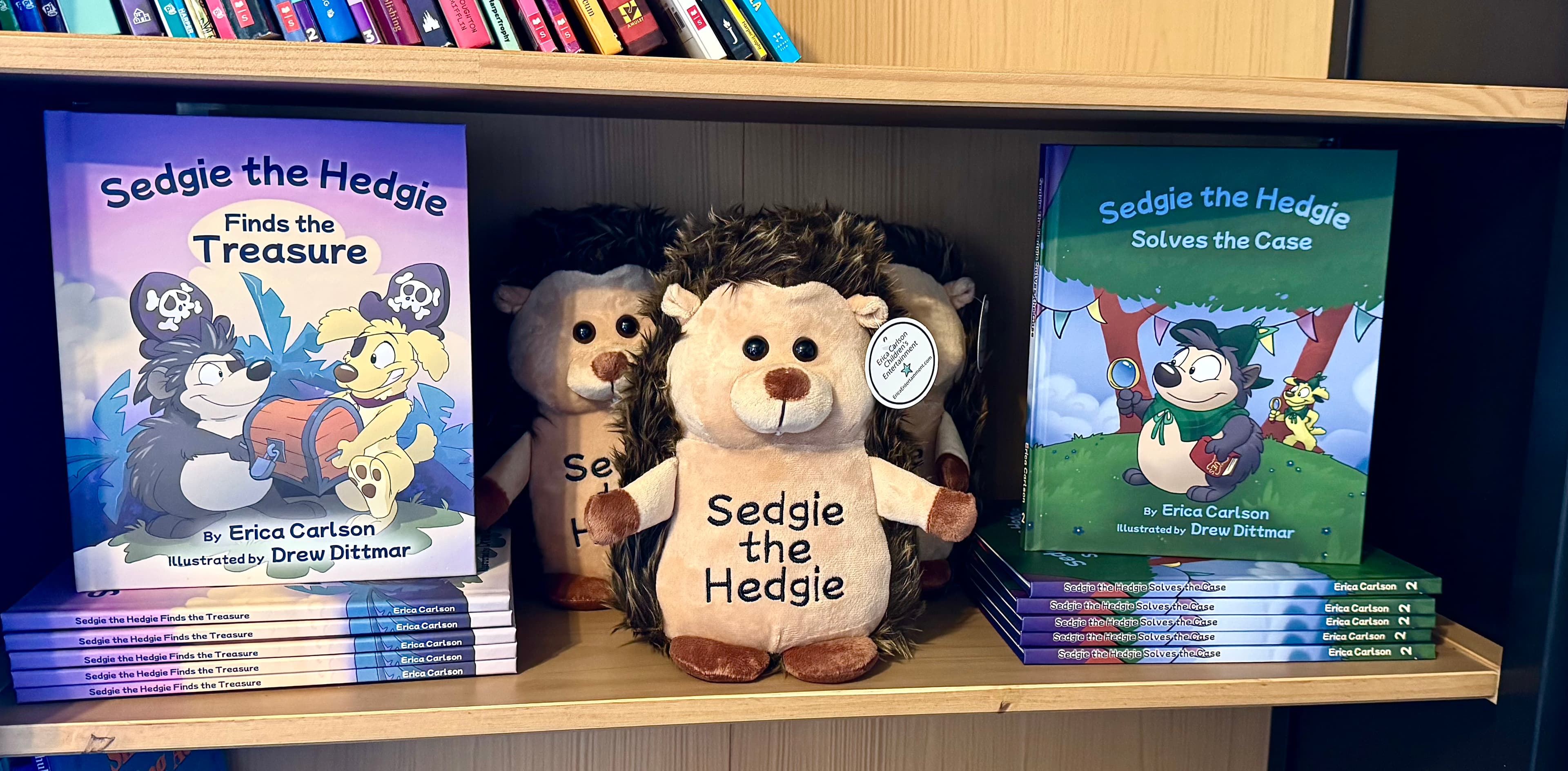 Dragonfly Bookshop — browsing the shelves