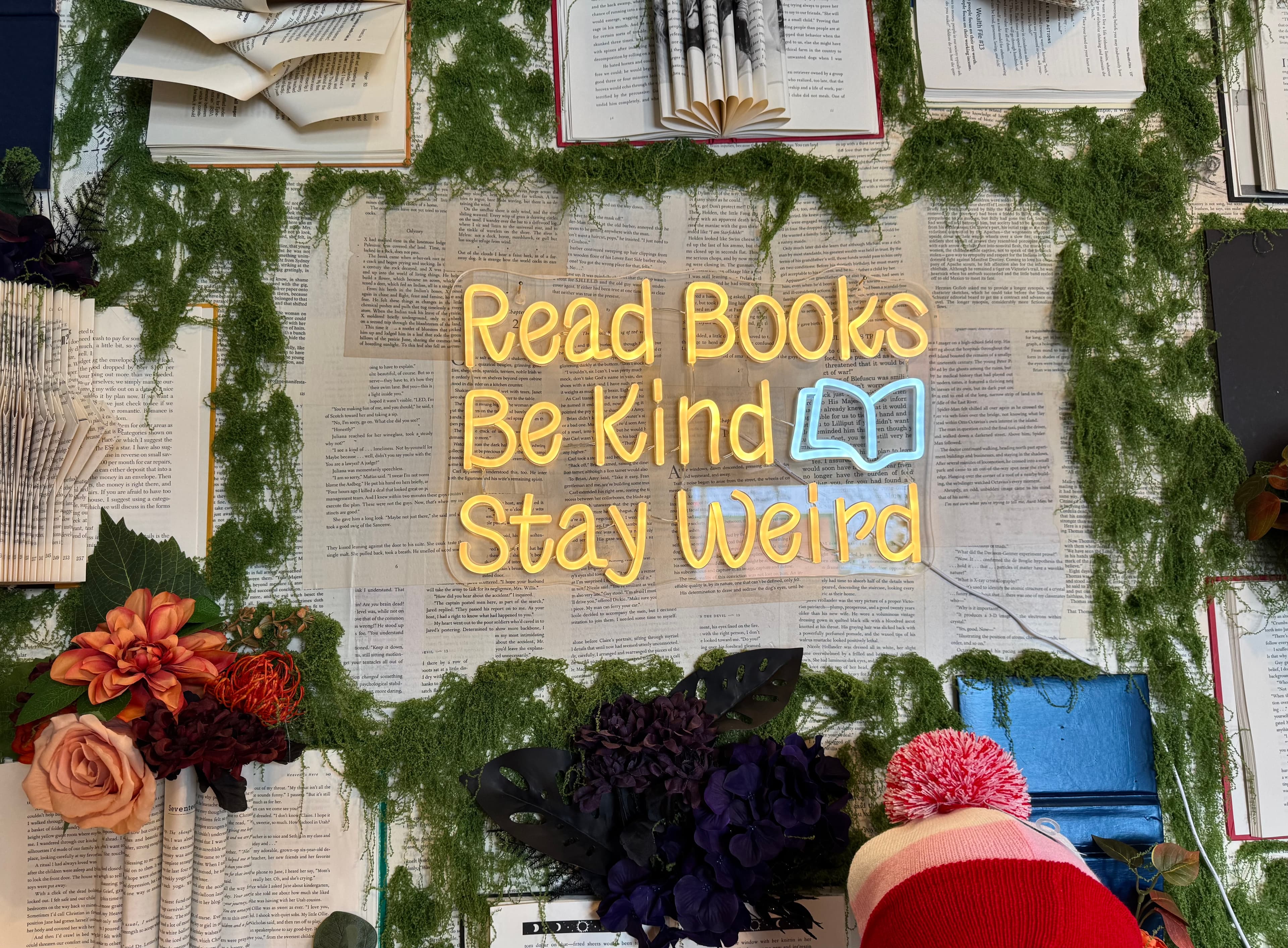 Books on display at Dragonfly Bookshop, arranged in a warm, inviting interior scene.