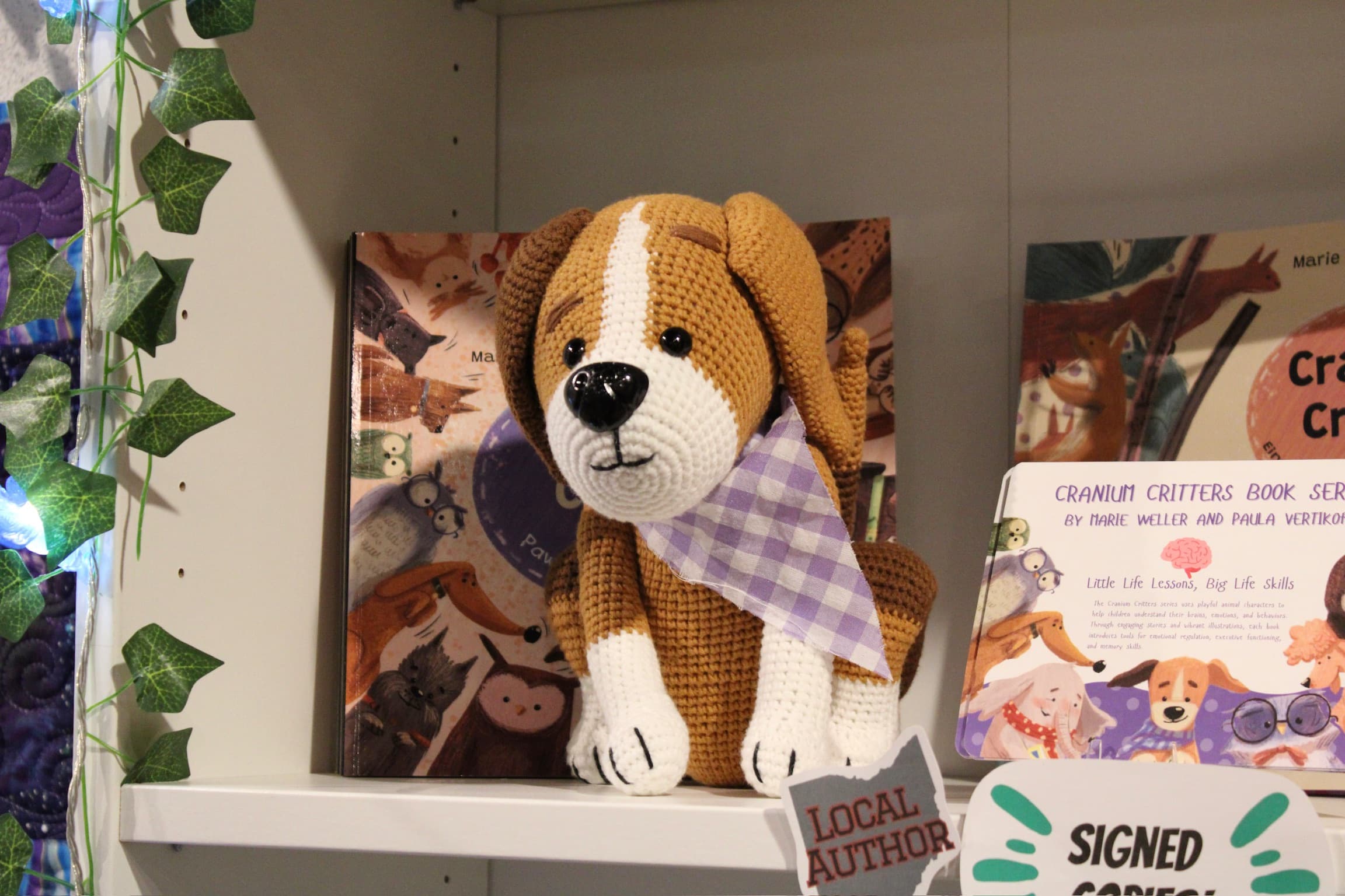 Dragonfly Bookshop — shelving and titles