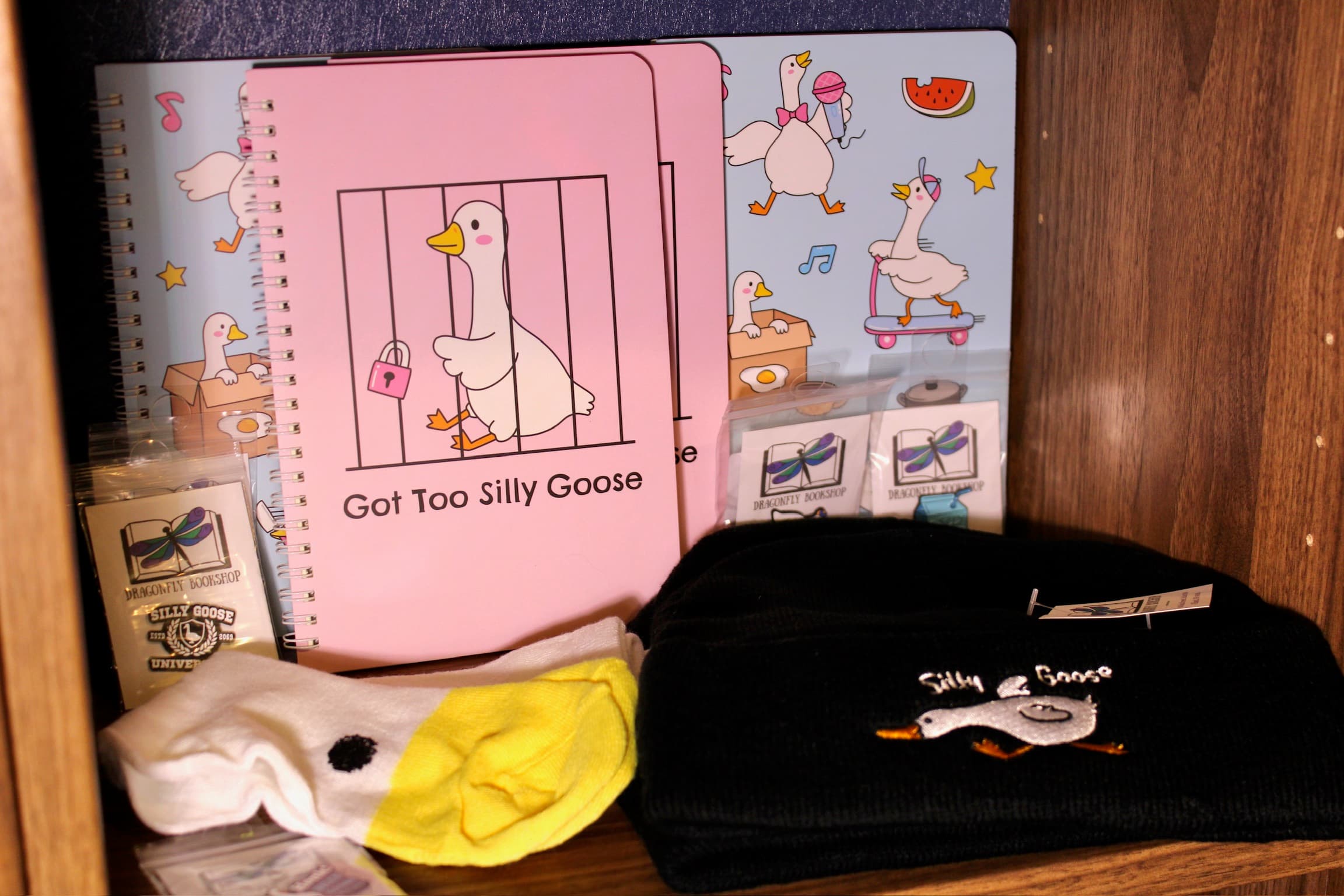 Dragonfly Bookshop — staff favorites on display